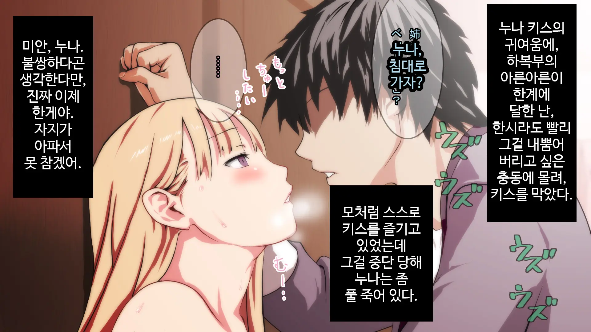 Muteikou Na Nee-San Suki Ni Shite Ii Yo...